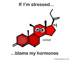 Image result for Stress Hormone in Journey of a Uterus