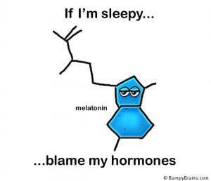 Image result for Sleepy-Hormone in journey of a uterus