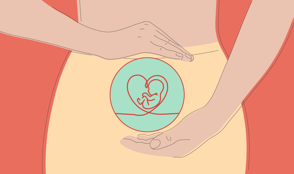 Minimal illustration of hands cradling a pregnant belly with a heart-shaped outline containing a small fetus, symbolising conception and early pregnancy.