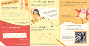 Colorful infographic showing the four phases of the menstrual cycle across a month, with notes on mood, energy, symptoms, and helpful items for each phase.